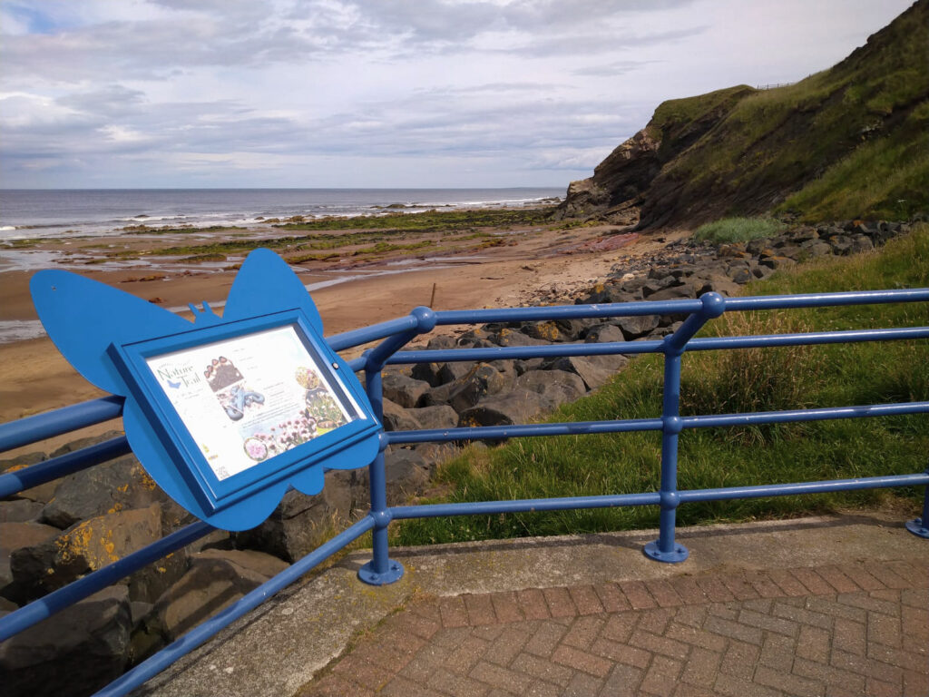 notice board berwick-upon-tweed