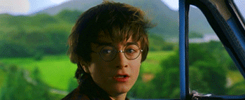blue car harry potter